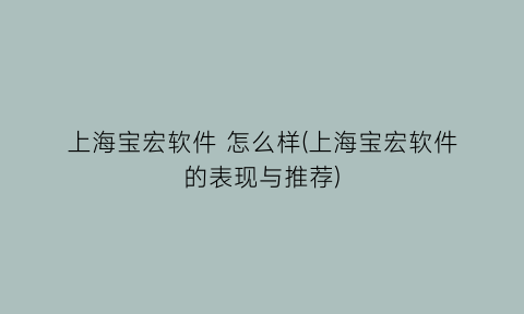 “上海宝宏软件怎么样(上海宝宏软件的表现与推荐)